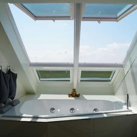 In With Swimming Pool